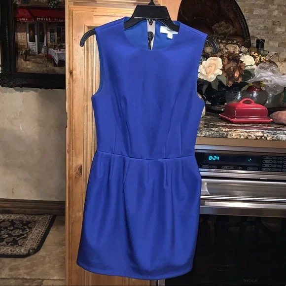 cameo blue dress Light Blue Princess Ruffle Garden Dress